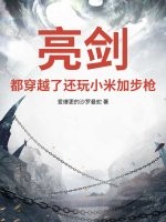 亮剑：都穿越了还玩小米加步枪？